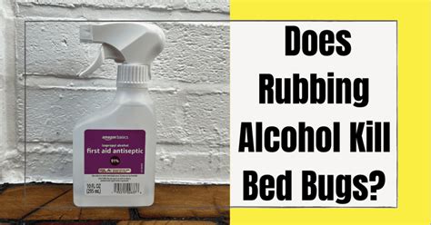 Bed bug isopropyl alcohol. Things To Know About Bed bug isopropyl alcohol. 